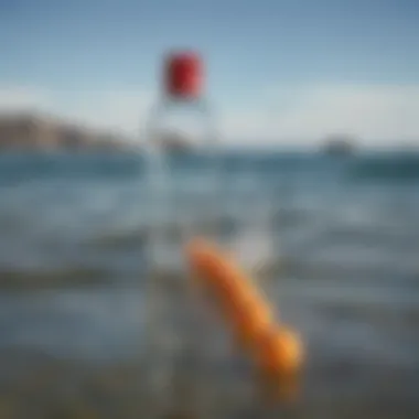 Chemical Compounds in Shark Repellents A graphic illustrating the chemical compounds used in shark repellents.