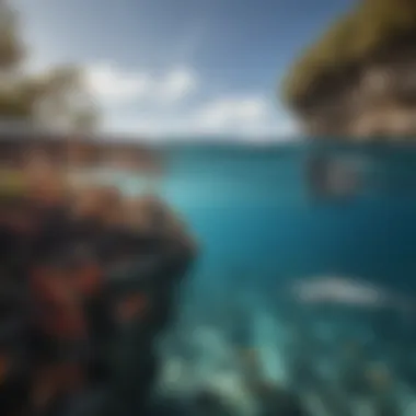 Marine Ecosystem and Shark Repellents A serene ocean scene showcasing a variety of marine life, emphasizing ecosystem balance.