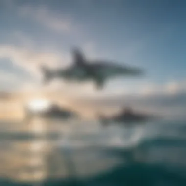 Hammerhead Sharks in Formation A school of hammerhead sharks forming a unique formation.