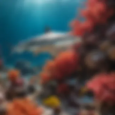 Reef Shark and Coral Ecosystem A colorful reef shark swimming among vibrant coral.