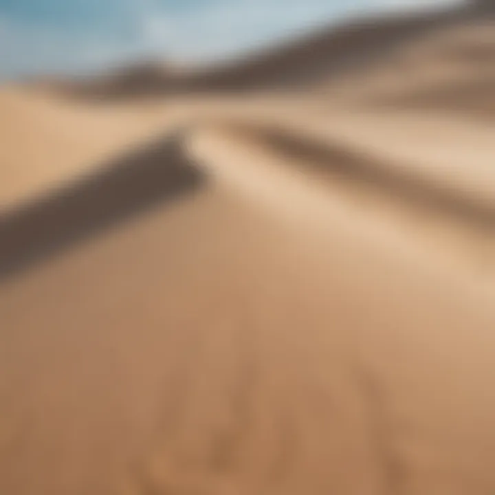 Close-up of sand dunes with soft breeze