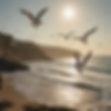 Seagulls soaring above a sunlit coastline