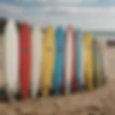 A collection of surfboards lined up on the beach