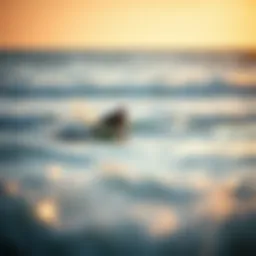 Surfing in Hossegor, France: A Deep Dive into the Coastal Experience Introduction