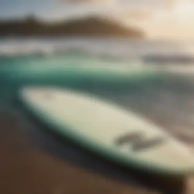 Sustainable surfboard materials