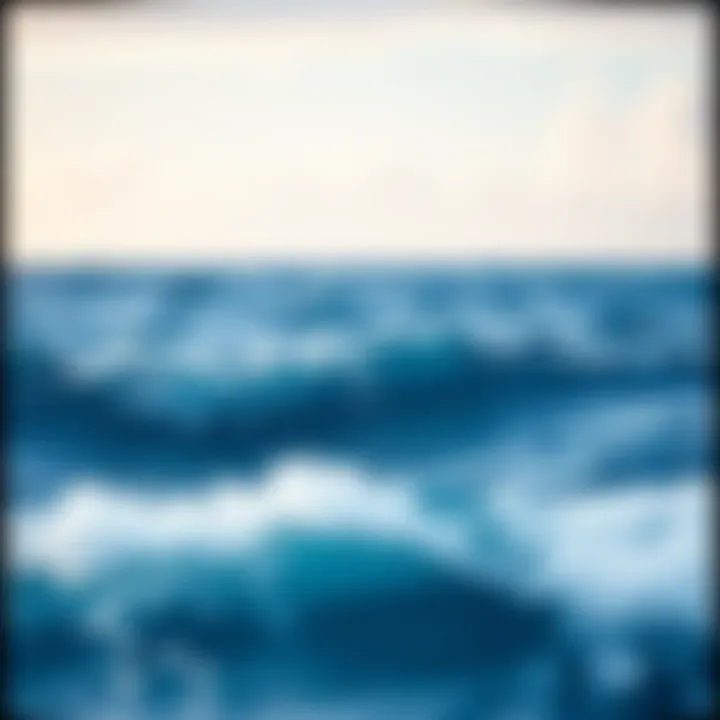 Expansive view of the Pacific Ocean showcasing its vibrant marine life