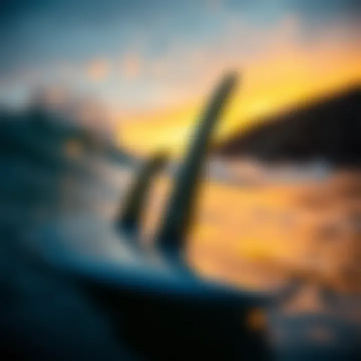 The Importance of Surfboard Fin Screws in Watersports Summary
