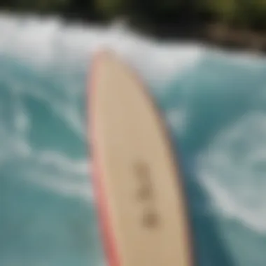 Close-up of specialized flowrider surfboard equipment