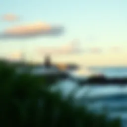 The Mental Health Benefits of Being Outdoors Introduction