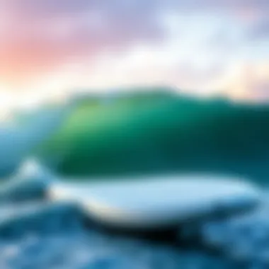 The Wavestorm 8 Foot Surfboard: A Comprehensive Overview Summary