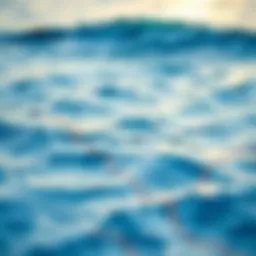 Detailed ocean swell map highlighting wave patterns