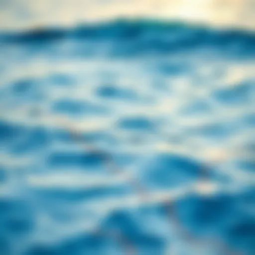 Analyzing Wave Patterns Detailed ocean swell map highlighting wave patterns