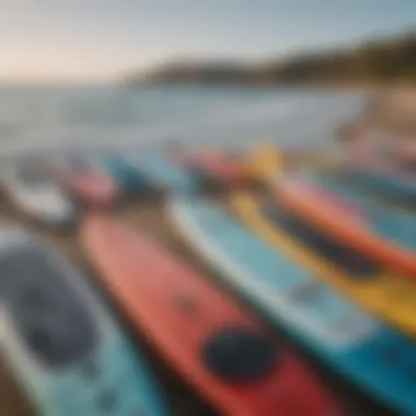 Variety of paddleboards lined up on a beach