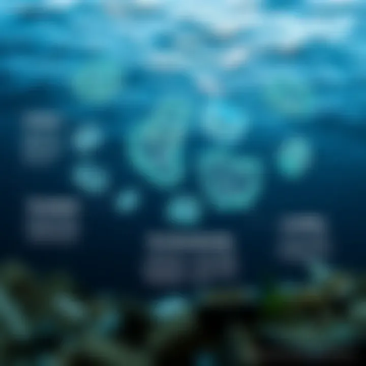 Visual Representation of Ocean Garbage Patch Formation Infographic showing the formation of ocean garbage patches